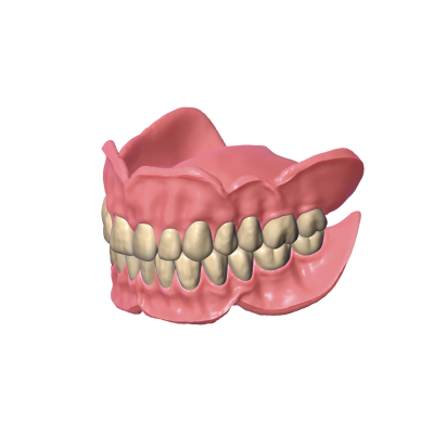 Exocad DentalCAD [Flex] [Standalone]