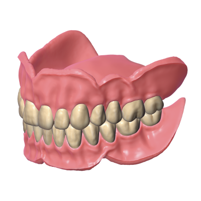 Exocad DentalCAD [Flex]