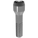 Elos Accurate®Hexalobular Prosthetic Screw