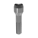 Elos Prosthetic Screw
