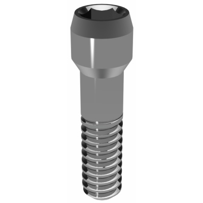 Elos Accurate®Hexalobular Prosthetic Screw