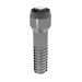Elos Prosthetic Screw