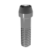 Elos Prosthetic Screw