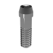 Elos Prosthetic Screw