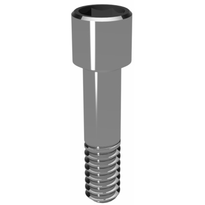 Elos Accurate®Hexalobular Prosthetic Screw