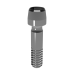 Elos Prosthetic Screw