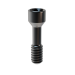 Elos Accurate®Hexalobular Prosthetic Screw