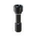 Elos Accurate®Hexalobular Prosthetic Screw