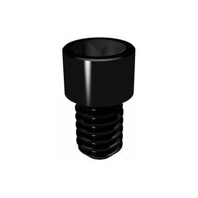 Elos Prosthetic Screw
