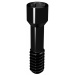 Elos Accurate®Hexalobular Prosthetic Screw
