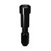 Elos Prosthetic Screw
