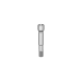 Elos Accurate®Hexalobular Prosthetic Screw