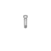 Elos Accurate®Hexalobular Prosthetic Screw