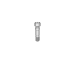 Elos Accurate®Prosthetic Screw